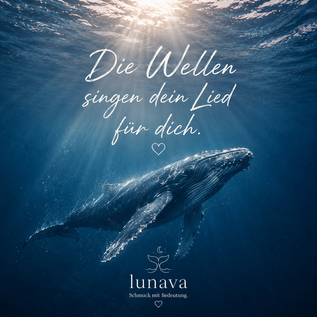 Hope – Der Wal, der Menschen bewegt hat 💙