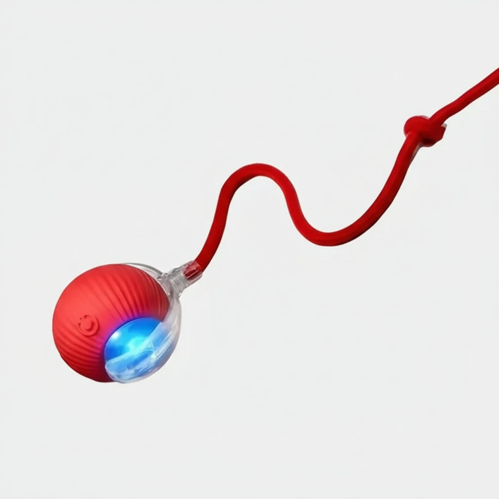 Interaktives Katzenspielzeug – Elektrischer Katzenball